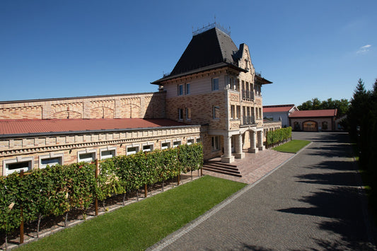 Introducing Chateau Chizay