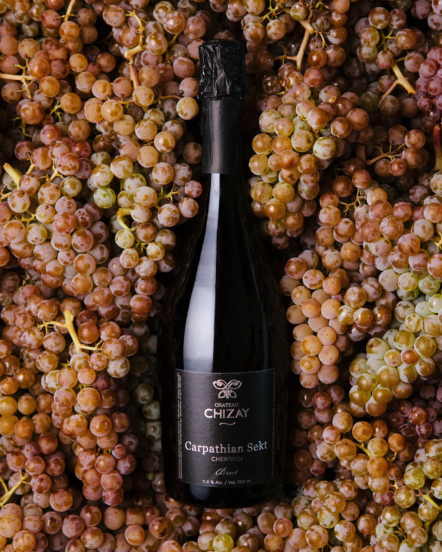 Carpathian Sekt Chersegi Brut 2024